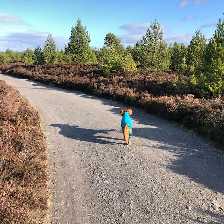 Apartmán Stelvio Aviemore Exteriér fotografie